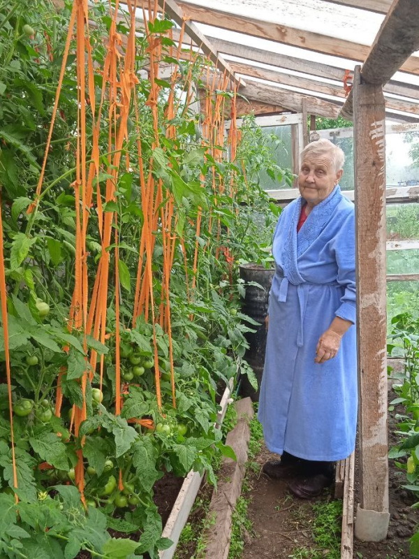 Поможем вырастить урожай.